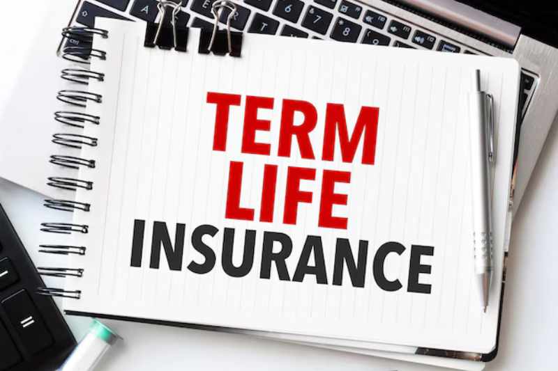 Term Insurance