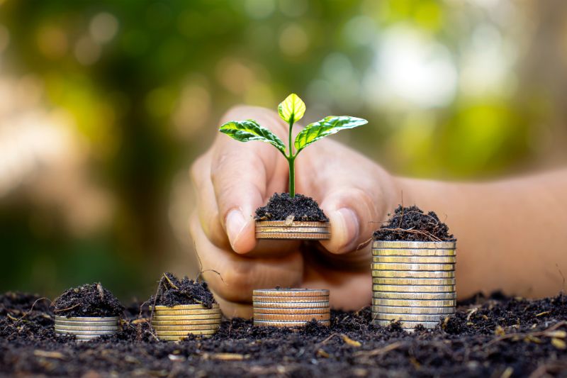 A hand placing a small plant sprouting from a stack of coins, symbolizing financial growth and investment